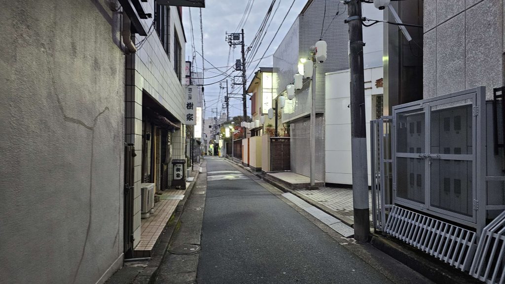 小料理屋・スナックなどが並ぶ