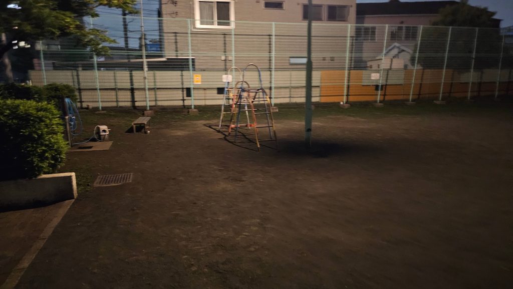 立ちんぼが居そうな雰囲気はあるが、遭遇せず